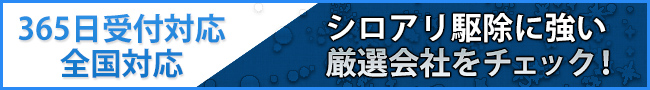 厳選駆除会社をチェック